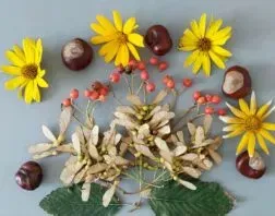 ZSS nr 90 - Wirtualna Wystawa – Jesienne Kompozycje z Darów Natury