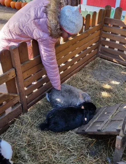 ZSS nr 90 - Wycieczka do farmy alpak