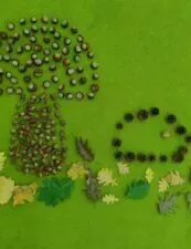 ZSS nr 90 - Wirtualna Wystawa – Jesienne Kompozycje z Darów Natury