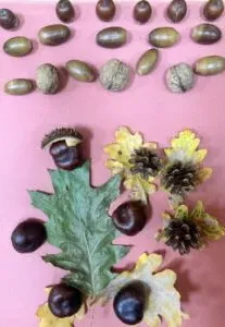 ZSS nr 90 - Wirtualna Wystawa – Jesienne Kompozycje z Darów Natury